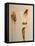 Redhead in Bikini, 2016-Susan Adams-Framed Premier Image Canvas