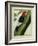 Redheaded Woodpecker-Georges-Louis Buffon-Framed Giclee Print