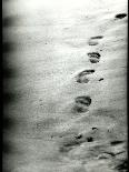 Footprints in a Sandy Beach-RedHeadPictures-Framed Premier Image Canvas