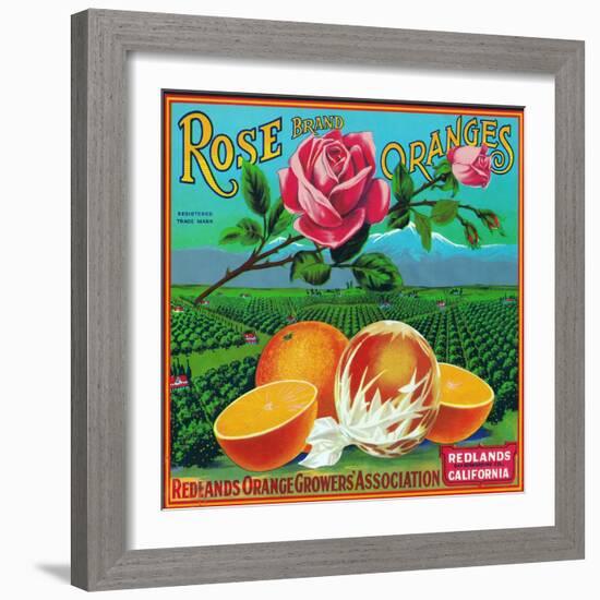 Redlands, California, Rose Brand Citrus Label-Lantern Press-Framed Art Print