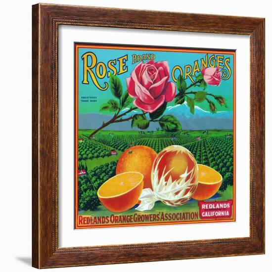 Redlands, California, Rose Brand Citrus Label-Lantern Press-Framed Art Print