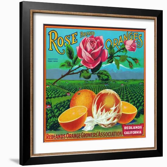 Redlands, California, Rose Brand Citrus Label-Lantern Press-Framed Art Print