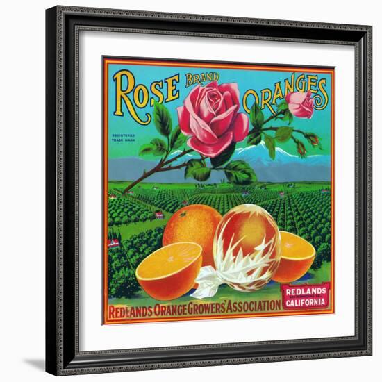 Redlands, California, Rose Brand Citrus Label-Lantern Press-Framed Art Print