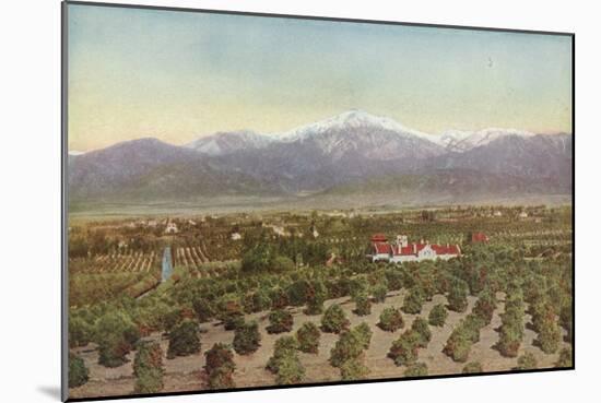 Redlands, California, View from Smiley Heights-American Photographer-Mounted Photographic Print