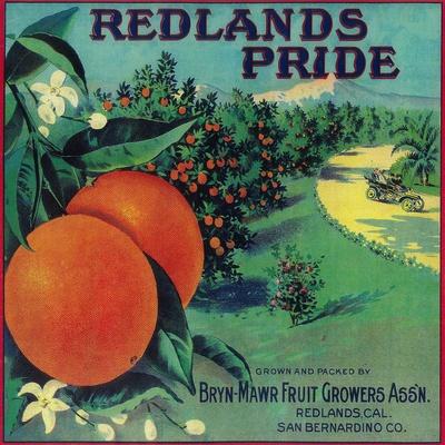Redlands San Bernardino Buffalo Bison Orange Citrus Fruit Crate Label Art Print 
