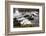 Redmire Force on the River Ure-Mark Sunderland-Framed Photographic Print