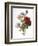 Redoute: Anemone, 1833-Pierre-Joseph Redouté-Framed Giclee Print