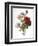 Redoute: Anemone, 1833-Pierre-Joseph Redouté-Framed Giclee Print