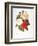 Redoute: Bouquet, 1833-Pierre-Joseph Redouté-Framed Premium Giclee Print