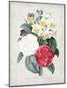 Redoute Bouquet III-Pierre Redoute-Mounted Art Print