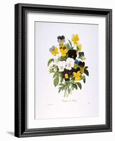 Redoute: Pansy, 1833-Pierre-Joseph Redouté-Framed Giclee Print