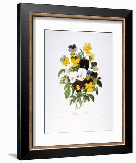 Redoute: Pansy, 1833-Pierre-Joseph Redouté-Framed Giclee Print