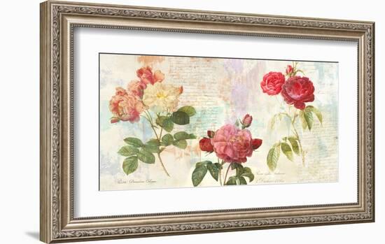 Redoute's Roses 2.0-Eric Chestier-Framed Giclee Print