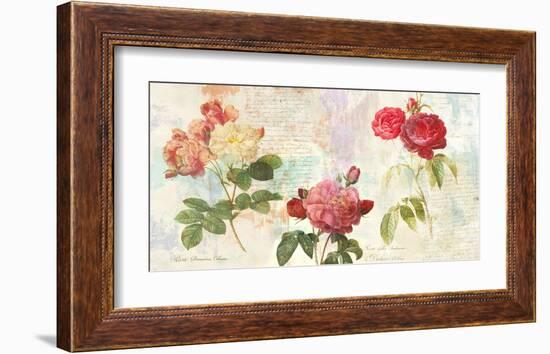 Redoute's Roses 2.0-Eric Chestier-Framed Giclee Print