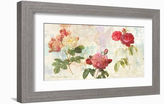 Redoute's Roses 2.0-Eric Chestier-Framed Giclee Print