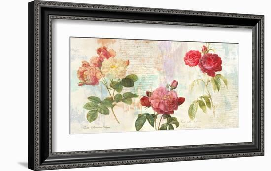 Redoute's Roses 2.0-Eric Chestier-Framed Giclee Print