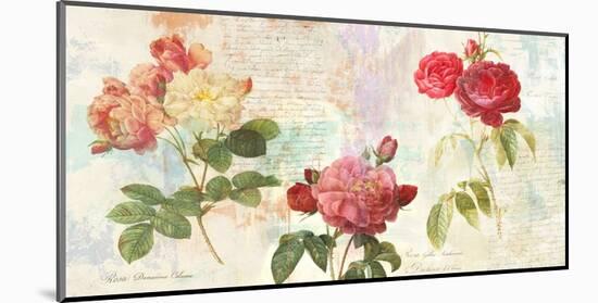 Redoute's Roses 2.0-Eric Chestier-Mounted Giclee Print