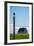 Redshank (Tringa Totanus), Flatey Island, Breidafjordur, Iceland-null-Framed Photographic Print