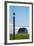 Redshank (Tringa Totanus), Flatey Island, Breidafjordur, Iceland-null-Framed Photographic Print