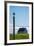 Redshank (Tringa Totanus), Flatey Island, Breidafjordur, Iceland-null-Framed Photographic Print