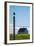 Redshank (Tringa Totanus), Flatey Island, Breidafjordur, Iceland-null-Framed Photographic Print