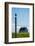 Redshank (Tringa Totanus), Flatey Island, Breidafjordur, Iceland-null-Framed Photographic Print