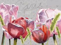 Blush Tulips I-Redstreake-Art Print