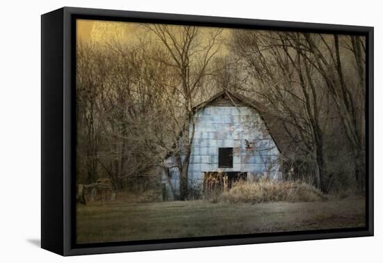 Redtail at the Blue Barn-Jai Johnson-Framed Premier Image Canvas