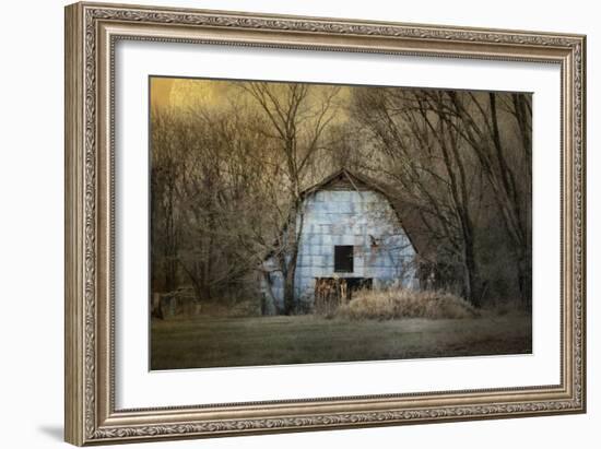 Redtail at the Blue Barn-Jai Johnson-Framed Giclee Print