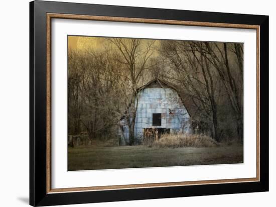 Redtail at the Blue Barn-Jai Johnson-Framed Giclee Print