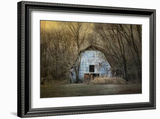 Redtail at the Blue Barn-Jai Johnson-Framed Giclee Print