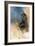 Redtail in Winter-Jai Johnson-Framed Giclee Print