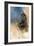 Redtail in Winter-Jai Johnson-Framed Giclee Print