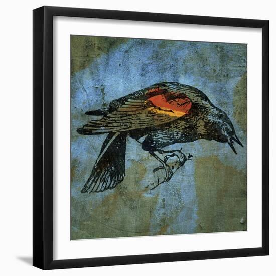 Redwing Blackbird-John W Golden-Framed Giclee Print