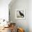 Redwing No. 3-Tim Nyberg-Framed Giclee Print displayed on a wall