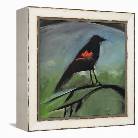 Redwing-Tim Nyberg-Framed Premier Image Canvas