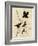Redwinged Starling-null-Framed Giclee Print