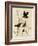 Redwinged Starling-null-Framed Giclee Print