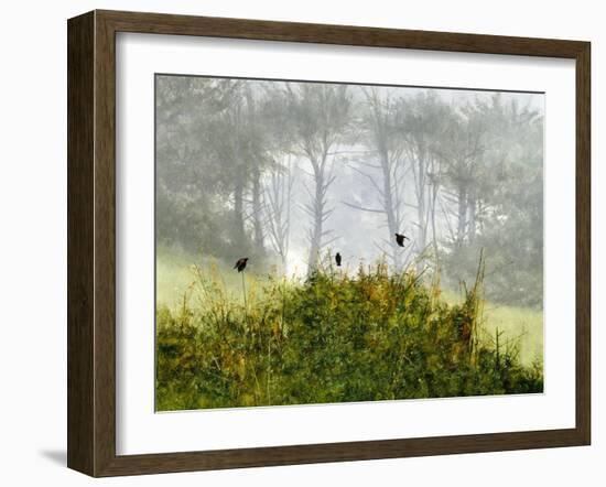 Redwings in the Mist-Miguel Dominguez-Framed Giclee Print