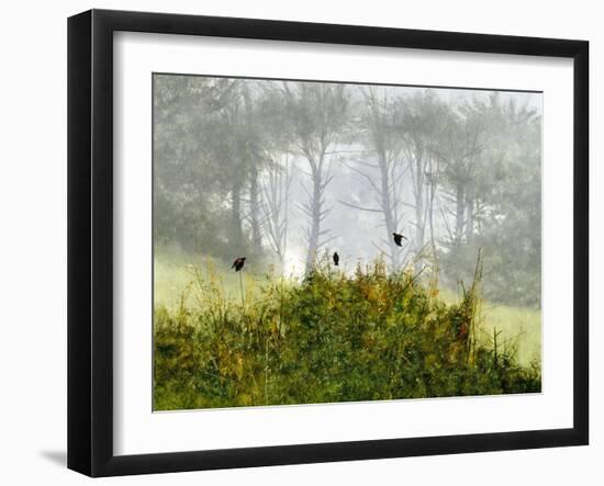 Redwings in the Mist-Miguel Dominguez-Framed Giclee Print