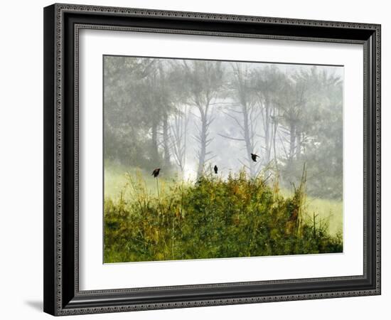 Redwings in the Mist-Miguel Dominguez-Framed Giclee Print