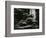 Redwood, California, 1964-Brett Weston-Framed Photographic Print