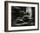 Redwood, California, 1964-Brett Weston-Framed Photographic Print