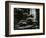 Redwood, California, 1964-Brett Weston-Framed Photographic Print