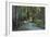 Redwood Forest I-Rita Crane-Framed Photographic Print