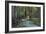 Redwood Forest I-Rita Crane-Framed Photographic Print