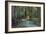 Redwood Forest I-Rita Crane-Framed Photographic Print