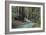 Redwood Forest II-Rita Crane-Framed Photographic Print