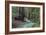 Redwood Forest II-Rita Crane-Framed Photographic Print