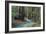 Redwood Forest II-Rita Crane-Framed Photographic Print